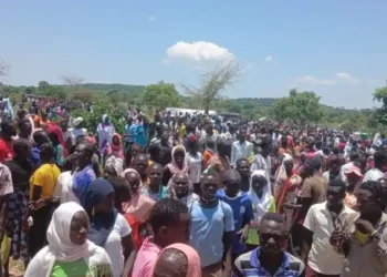 السودان : مسيرة جماهيرية حاشدة في كاودا تطالب بوقف القتال وتدعم مسار السلام