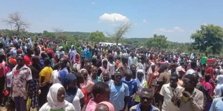 السودان : مسيرة جماهيرية حاشدة في كاودا تطالب بوقف القتال وتدعم مسار السلام