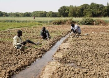 معدلات نمو مرتفعة بنيجيريا رغم صعوبة المعيشة