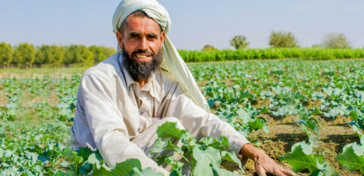 ضرورة توفير التدريب فى افغانستان الذي يتوافق مع احتياجات السوق