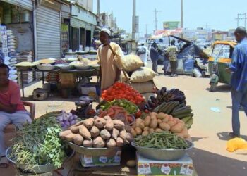 سعر جوال الحبوب يتجاوز مليون جنيه في غرب كردفان وسط أزمة غذاء