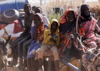 السودان يواجه موجة نزوح جديدة شمال كردفان مع تصاعد الهجمات
