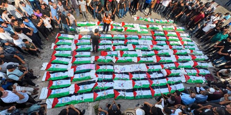 فيلم يوثق الإبادة في غزة بأعين الأطباء
