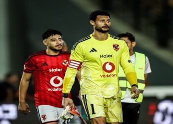 الأهلي يعلن إصابة الشناوي بكدمة وجزع في المرفق