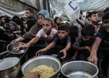 غزة تختنق بالجوع.. تقليص الإغاثة يضع نصف مليون فلسطيني أمام المجهول