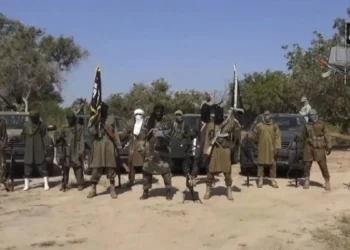 مقتل 15 مزارعًا في هجوم مسلح شمال شرقي نيجيريا