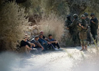 اعتداءات موسم الزيتون ترفع وتيرة التصعيد في الضفة الغربية